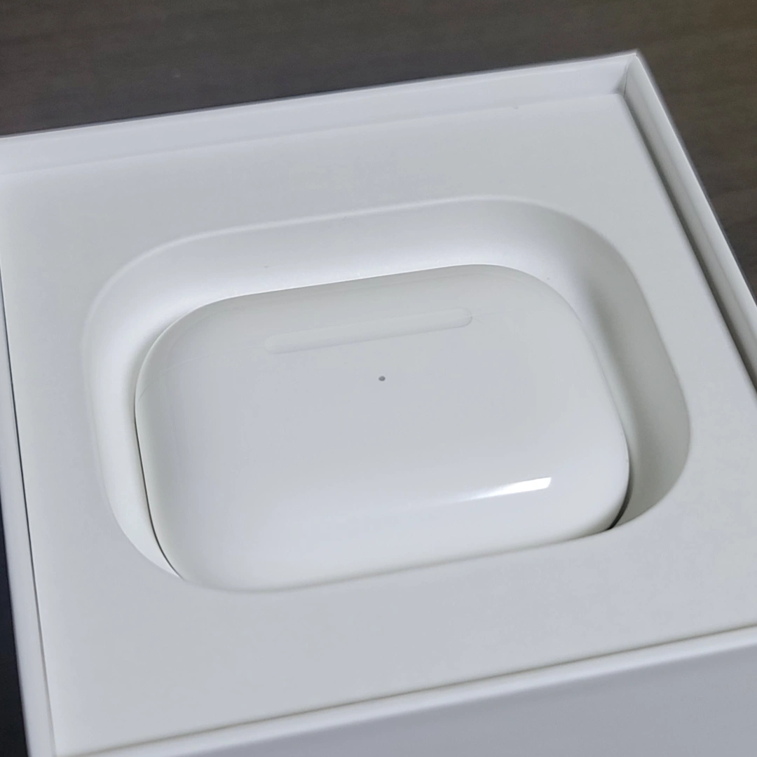 Apple AirPods Pro with MagSafe Charging Case (Korean Ver.) 착용 스타일
