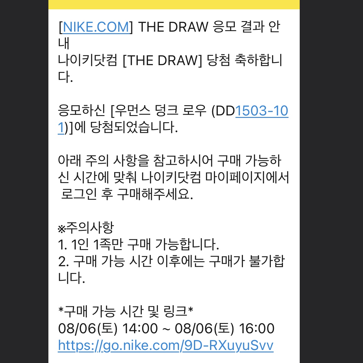 (W) Nike Dunk Low Black 착용 스타일