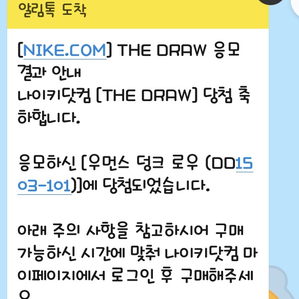 (W) Nike Dunk Low Black 착용 스타일