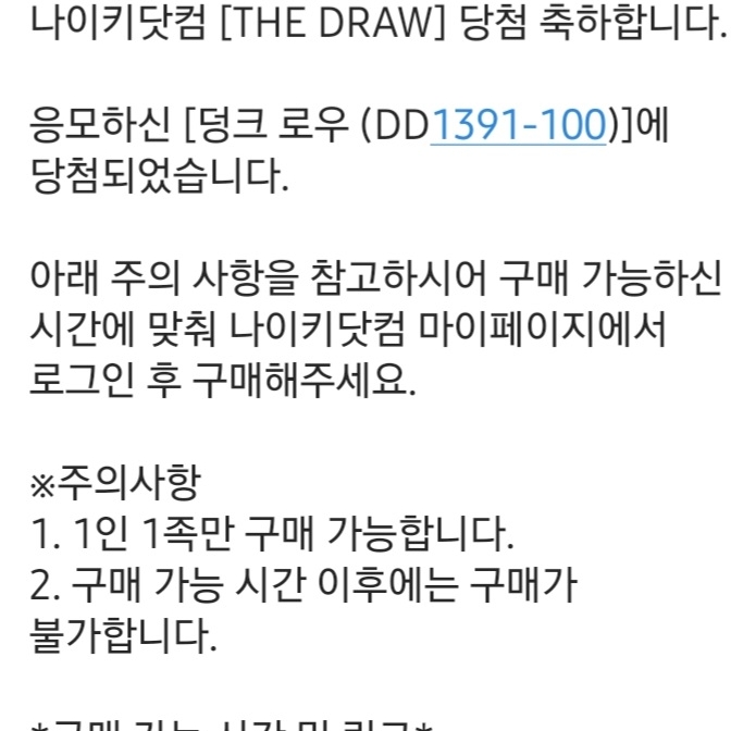 Nike Dunk Low Retro Black 착용 스타일