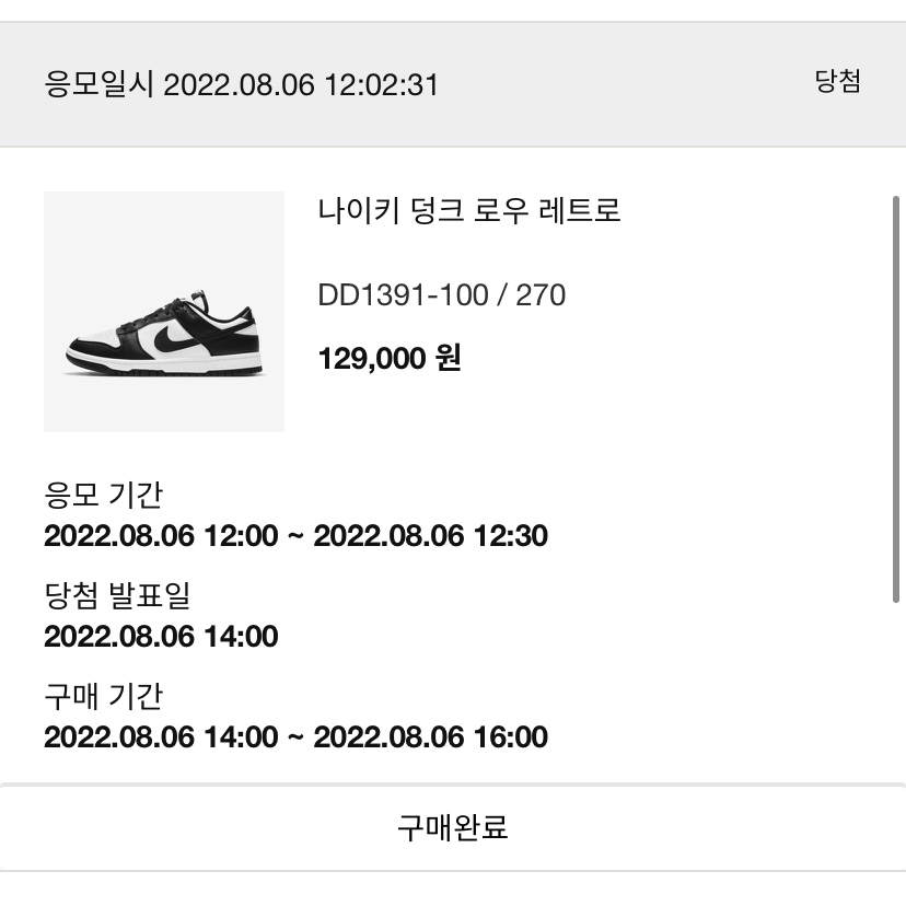 Nike Dunk Low Retro Black 착용 스타일