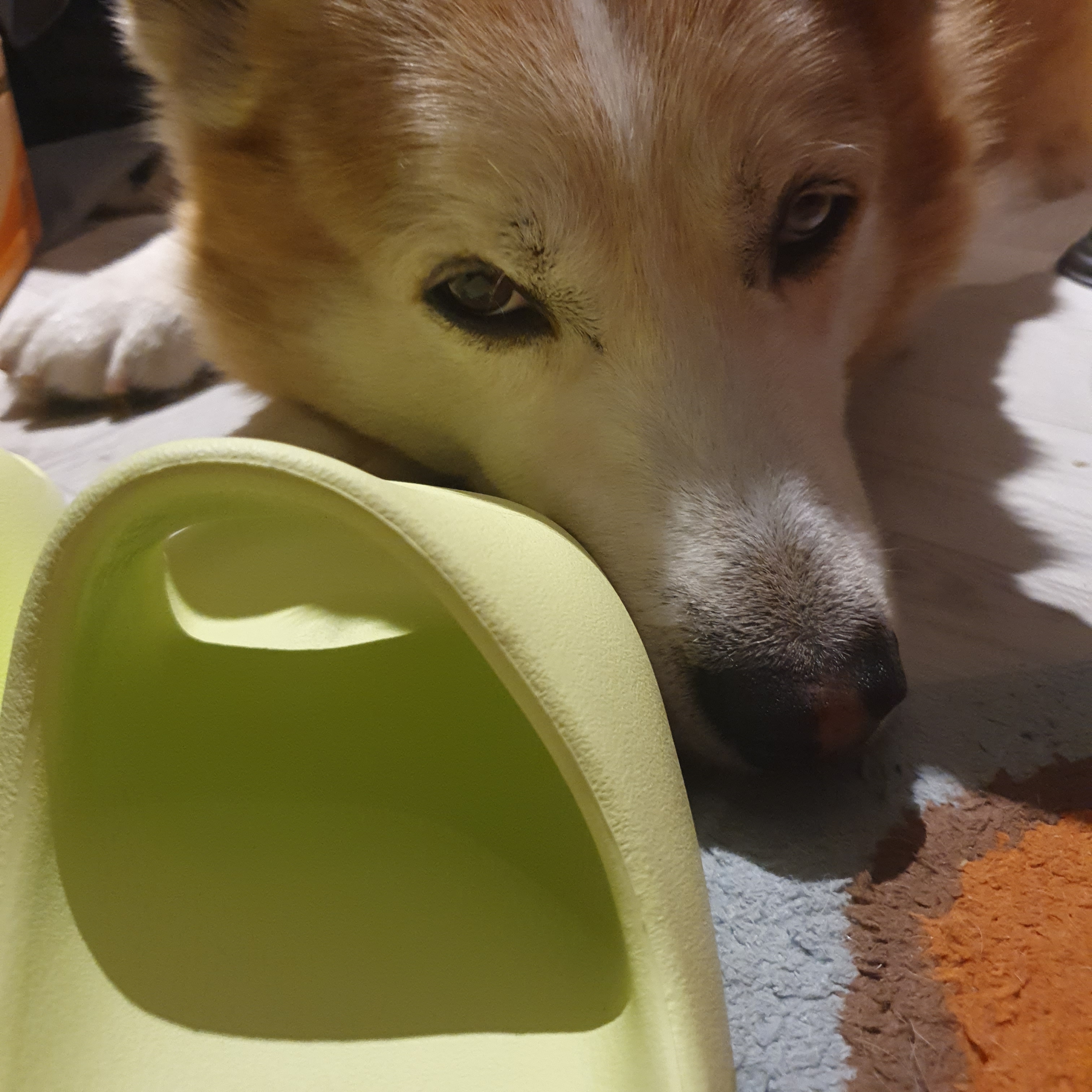 Adidas Yeezy Slide Glow Green 2022/2023 착용 스타일 - 3