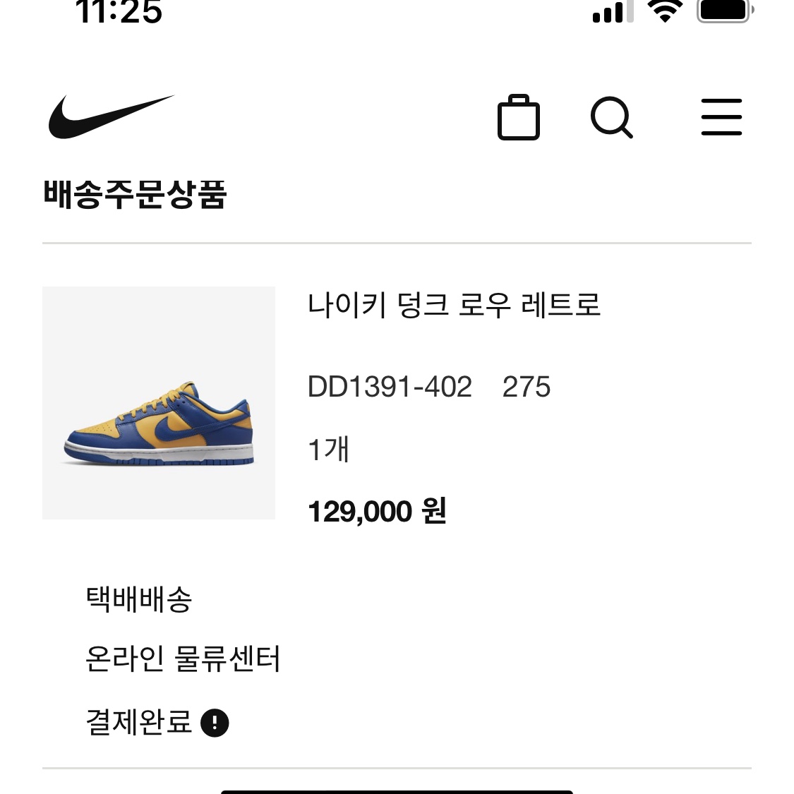 Nike Dunk Low Retro Blue Jay and University Gold 착용 스타일