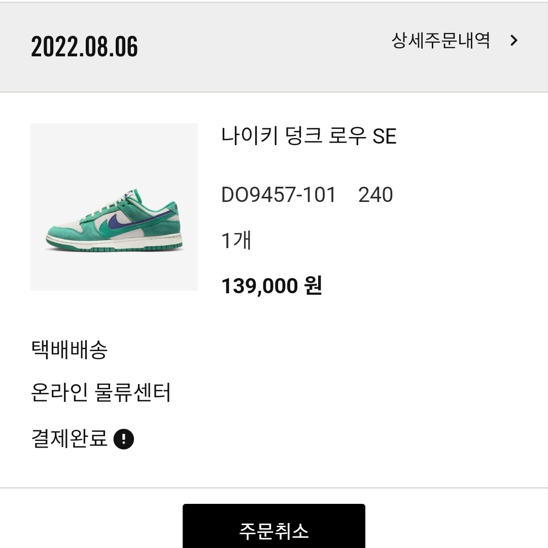 (W) Nike Dunk Low SE 85 Neptune Green and Sail 착용 스타일
