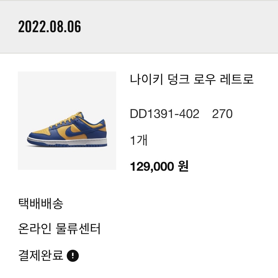 Nike Dunk Low Retro Blue Jay and University Gold 착용 스타일