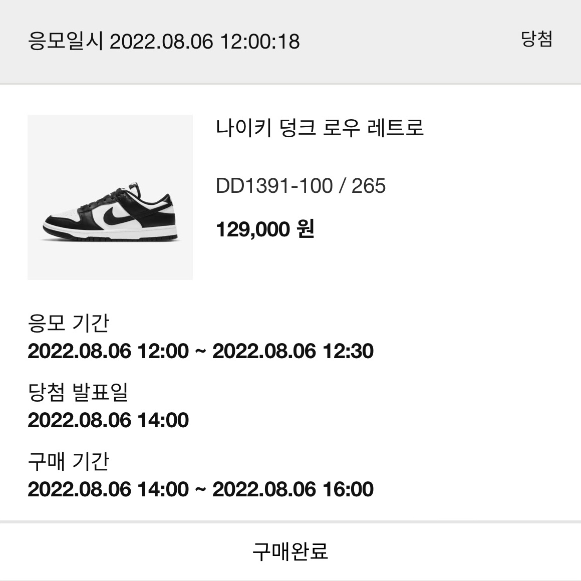 Nike Dunk Low Retro Black 착용 스타일