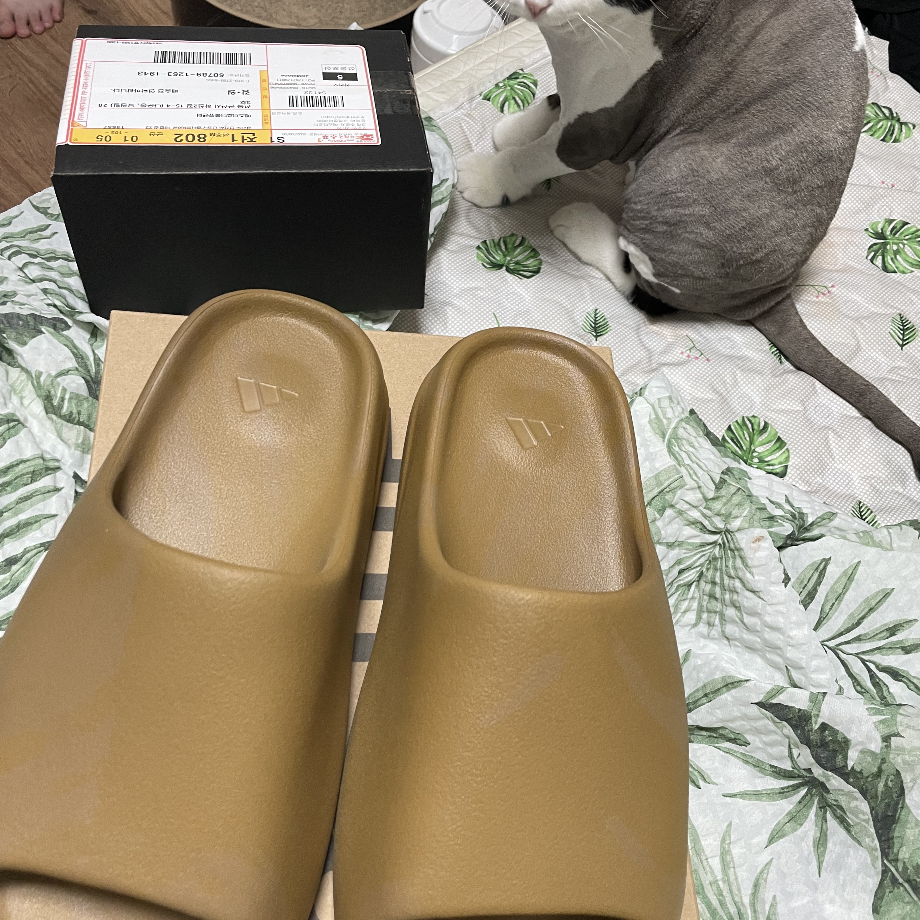 Adidas Yeezy Slide Ochre 착용 스타일