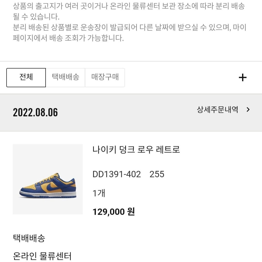 Nike Dunk Low Retro Blue Jay and University Gold 착용 스타일