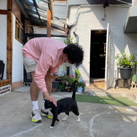 스타일 카드