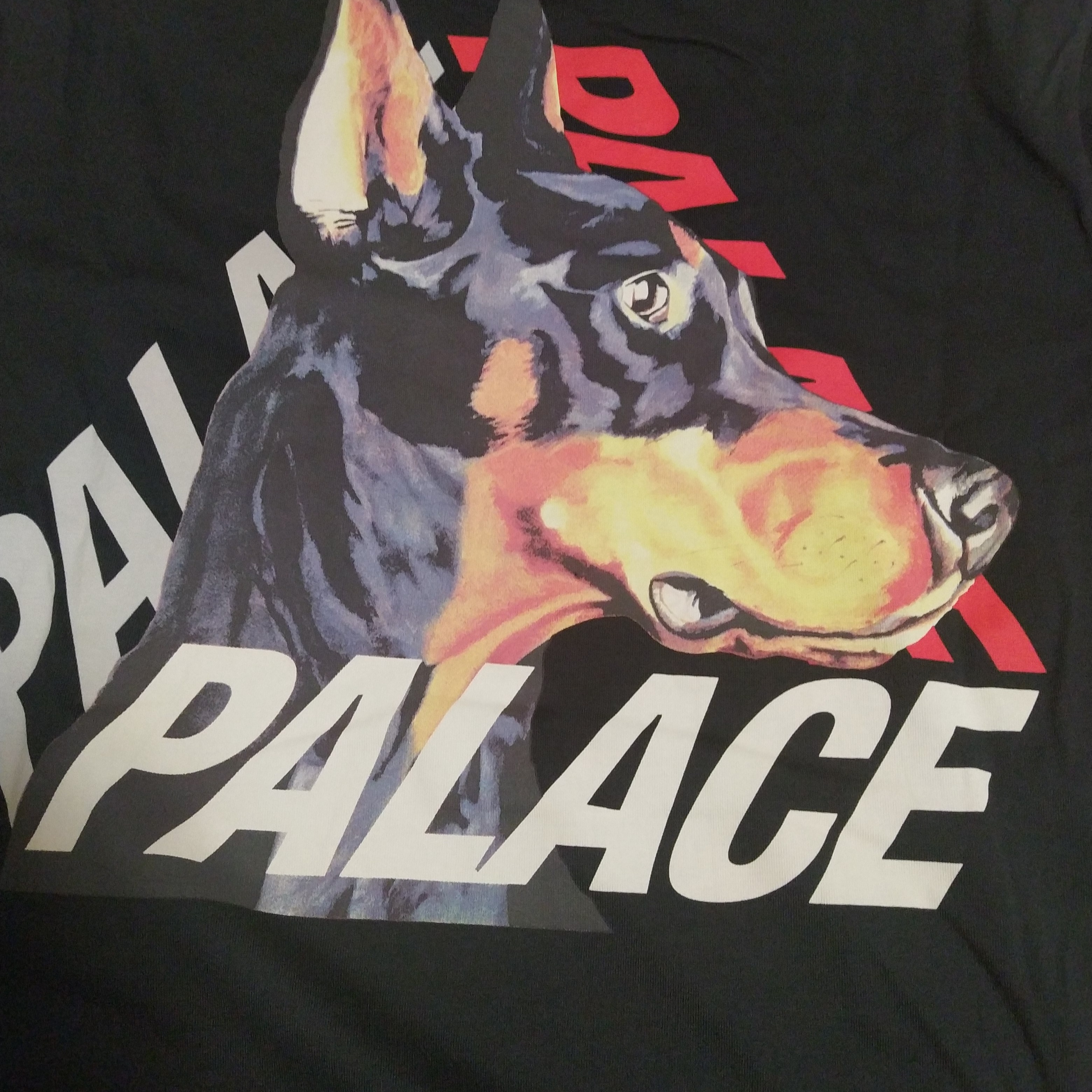 Palace P-3-K-9 T-Shirt Black - 22SS 착용 스타일