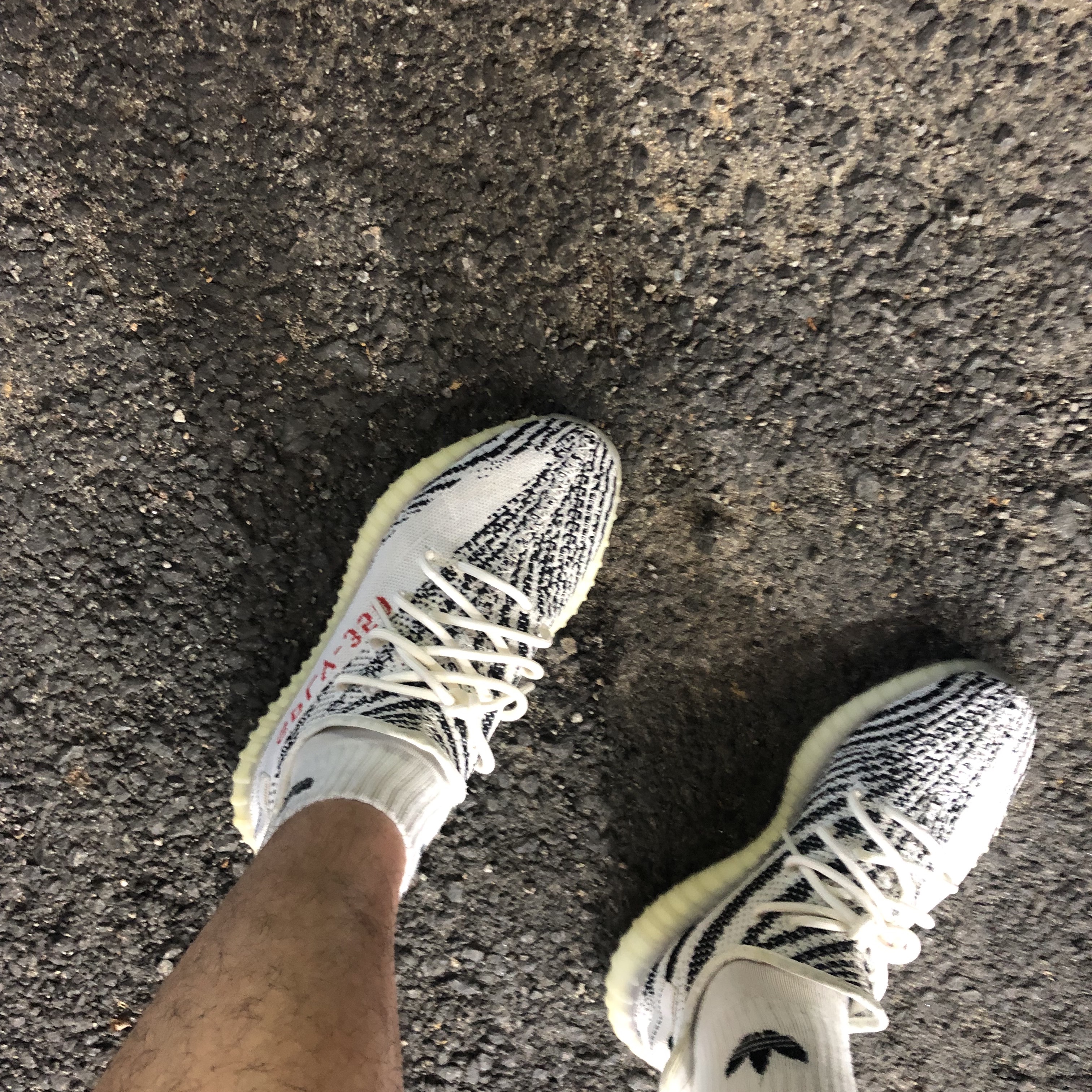 Adidas Yeezy Boost 350 V2 Zebra 2017/2019/2020 착용 스타일