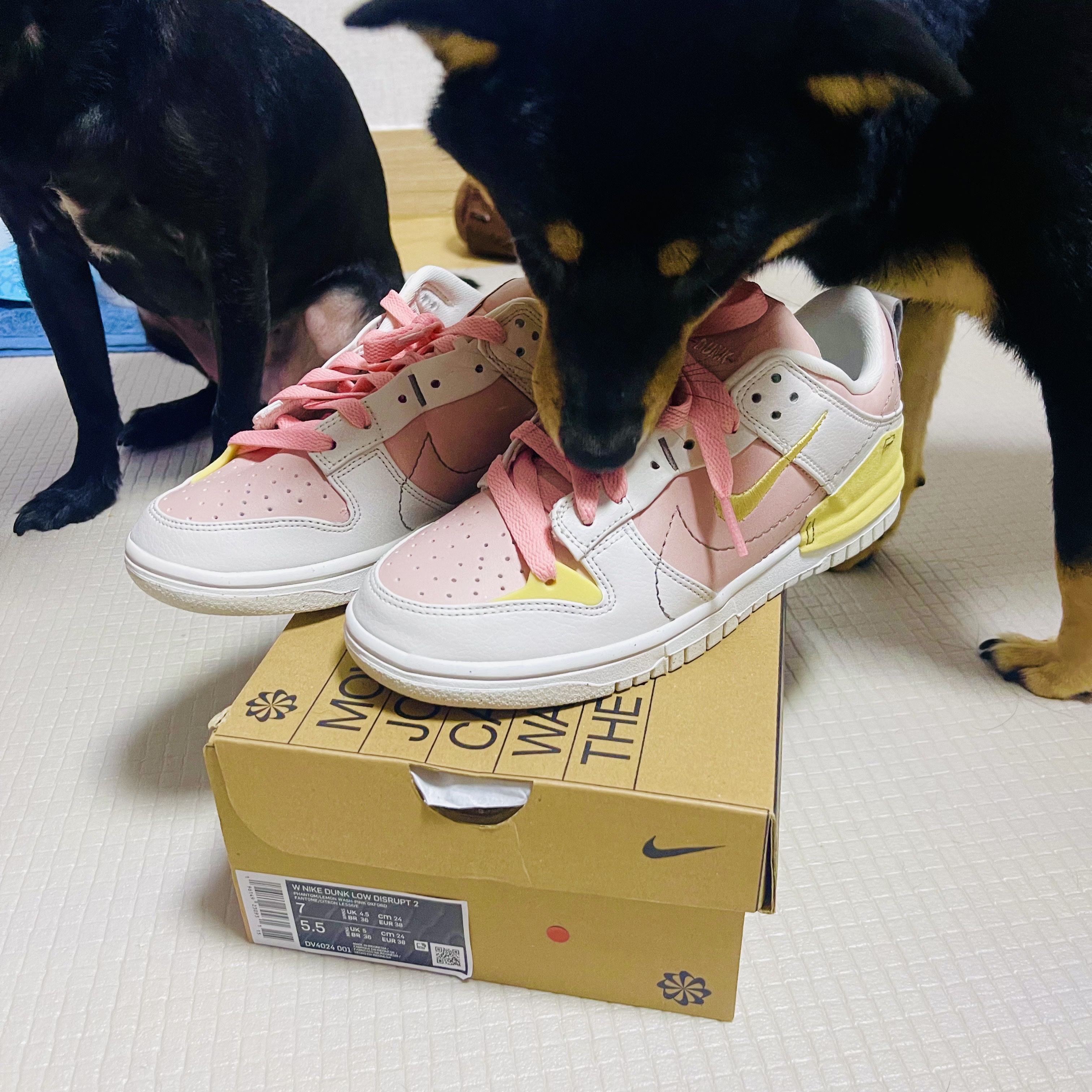 (W) Nike Dunk Low Disrupt 2 Phantom Lemon Wash 착용 스타일 - 2