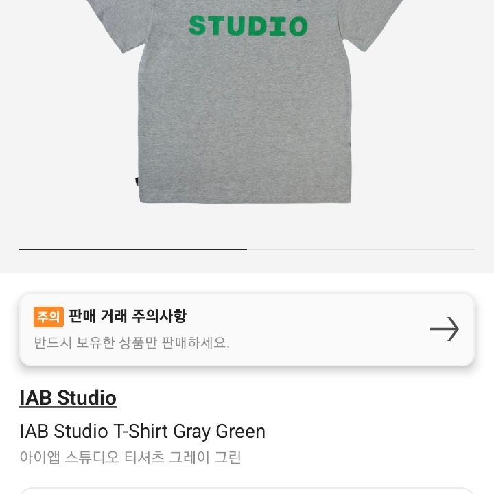 IAB Studio T-Shirt Gray Green - 22FW 착용 스타일