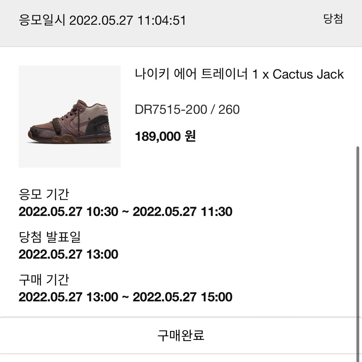 Nike x Travis Scott Air Trainer 1 Archaeo Brown and Rust Pink 착용 스타일