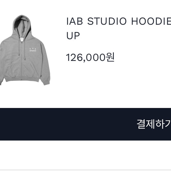 IAB Studio Zip-Up Hoodie Gray - 22FW 착용 스타일