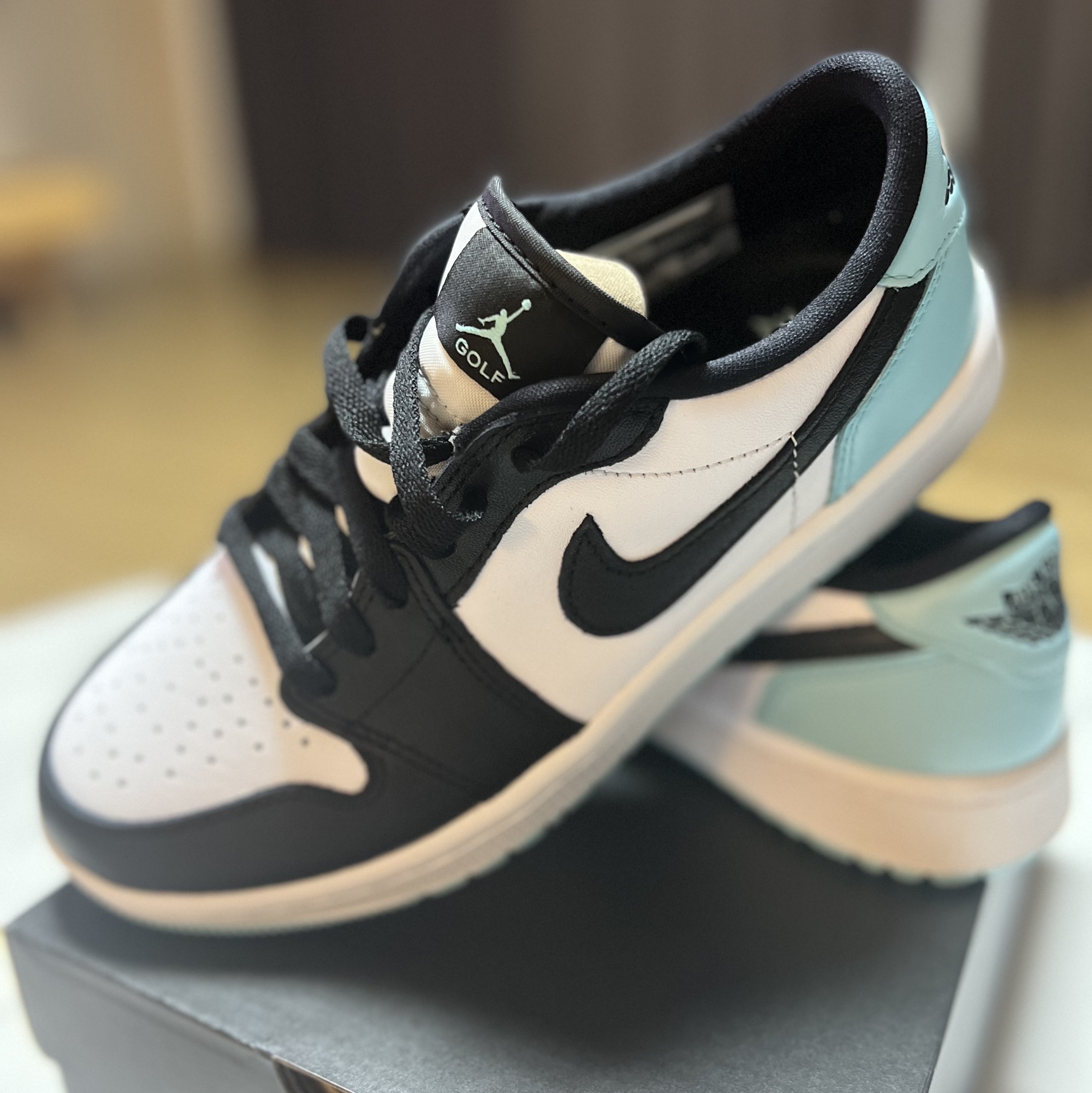 Jordan 1 Low Golf Copa 착용 스타일