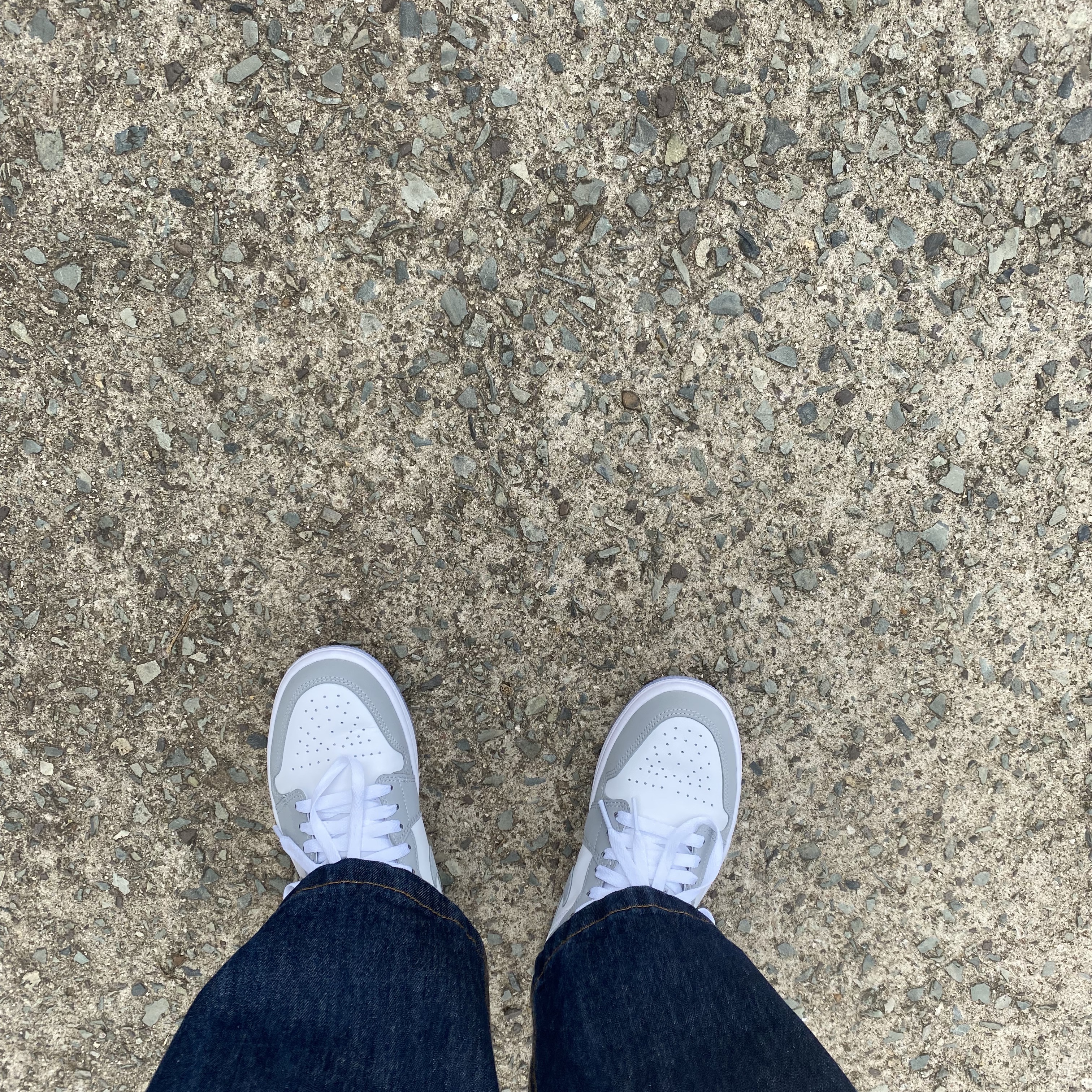 (W) Jordan 1 Low White Wolf Grey 착용 스타일