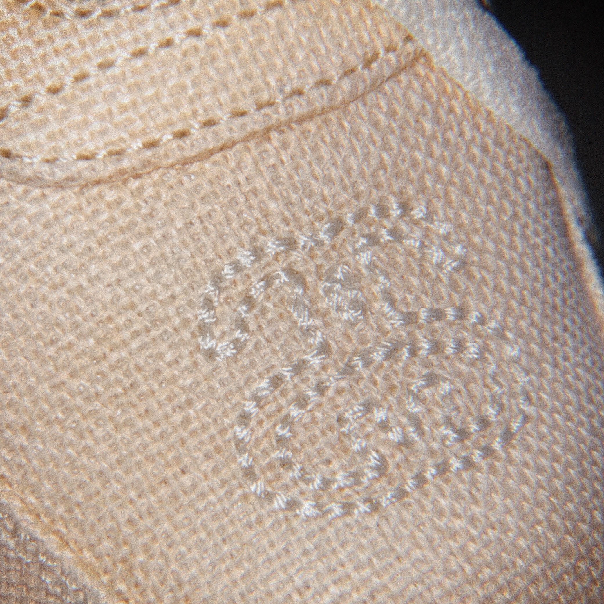 Nike x Stussy Air Force 1 '07 Mid SP Fossil 착용 스타일 - 5