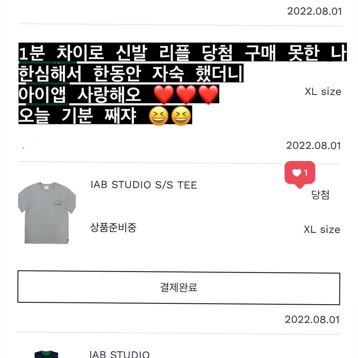 IAB Studio T-Shirt Gray Green - 22FW 착용 스타일