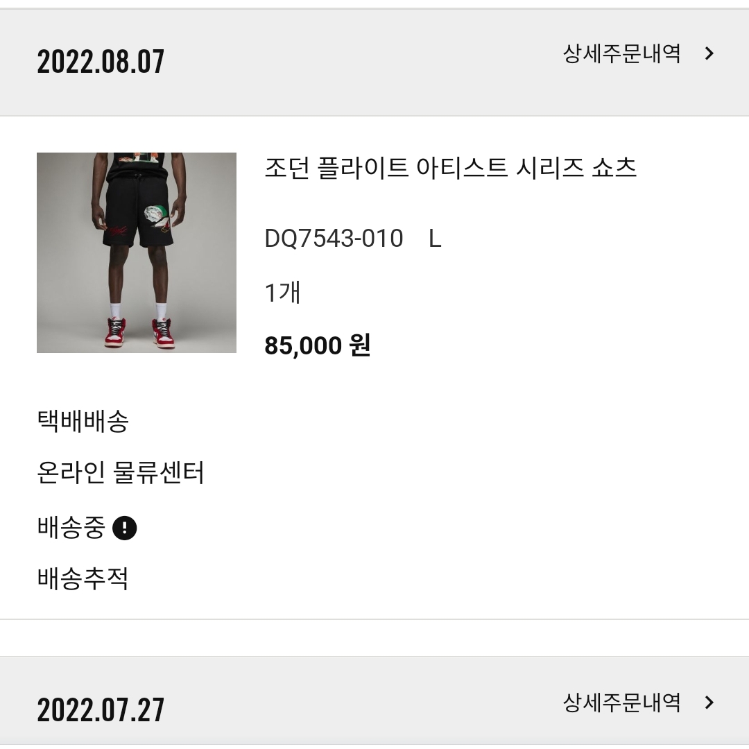 Jordan Flight Artist Series By Jacob Rochester Fleece Shorts Black - Asia 착용 스타일