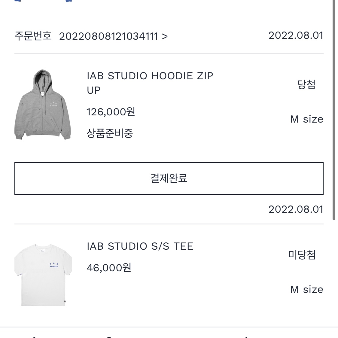 IAB Studio Zip-Up Hoodie Gray - 22FW 착용 스타일