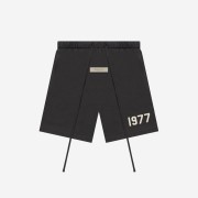 Essentials 1977 Shorts Iron - 22SS