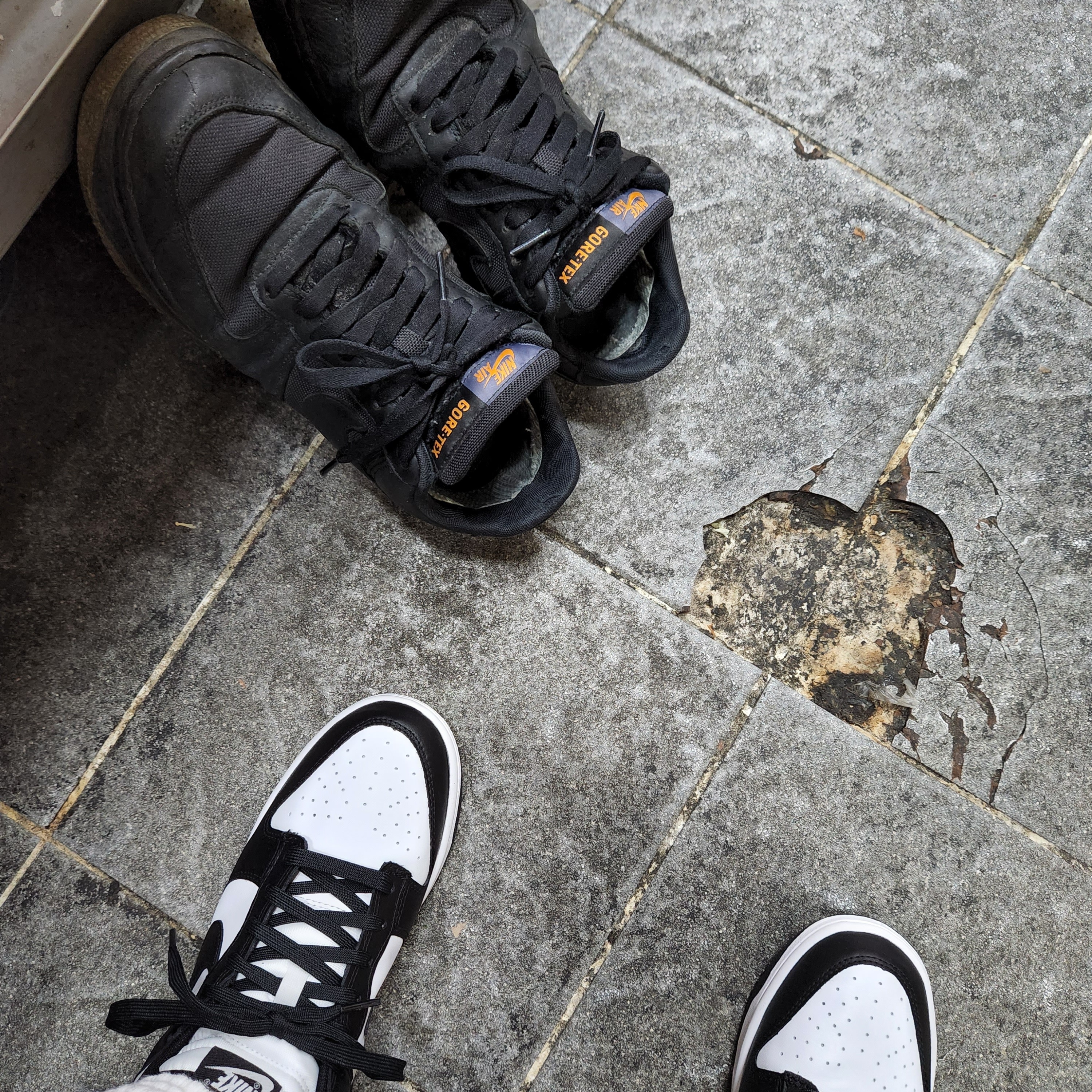 Nike Dunk Low Retro Black, Nike Air Force 1 Low Gore-Tex Black Light Carbon 착용 스타일