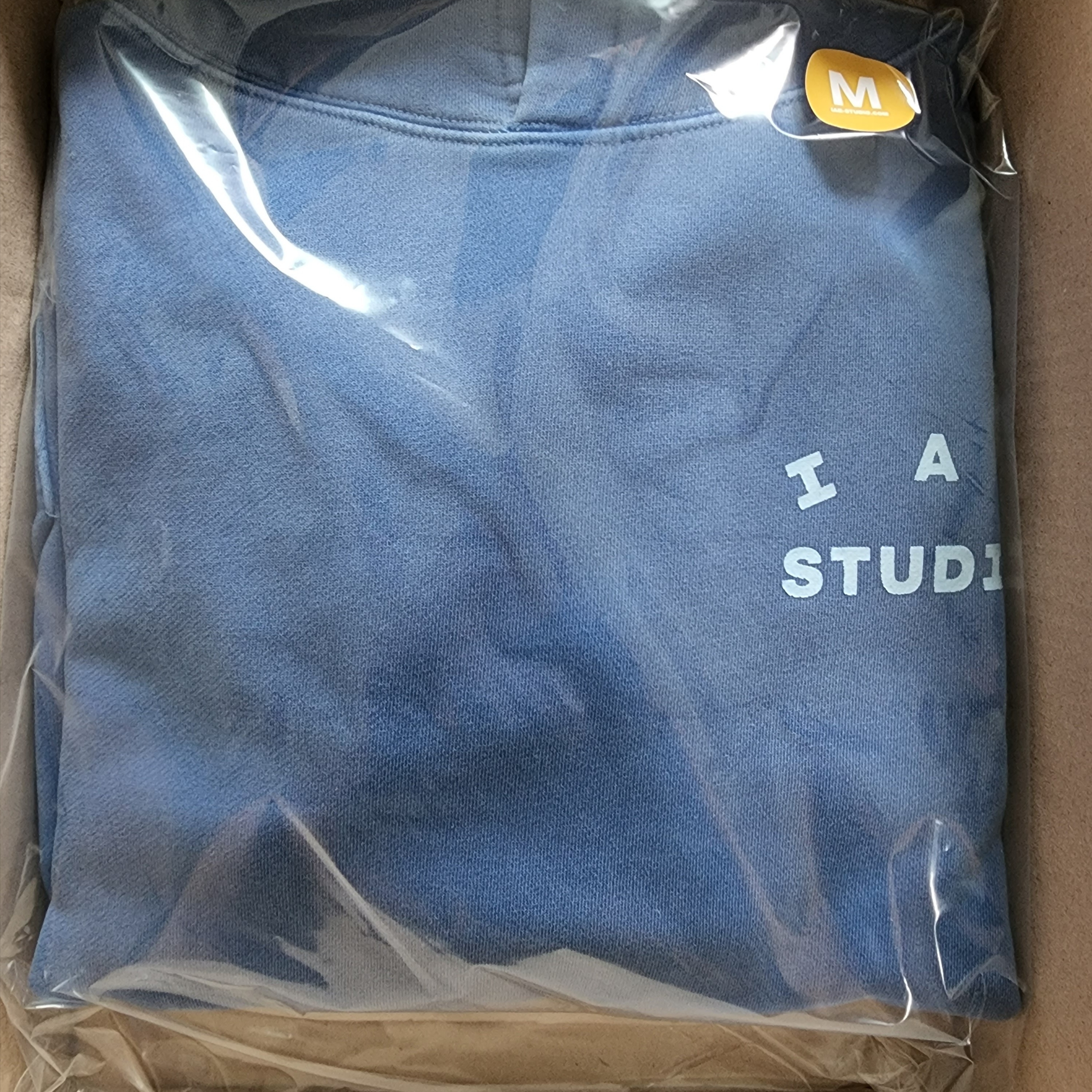 IAB Studio Pigment Hoodie Royal Blue - 22FW 착용 스타일 - 2