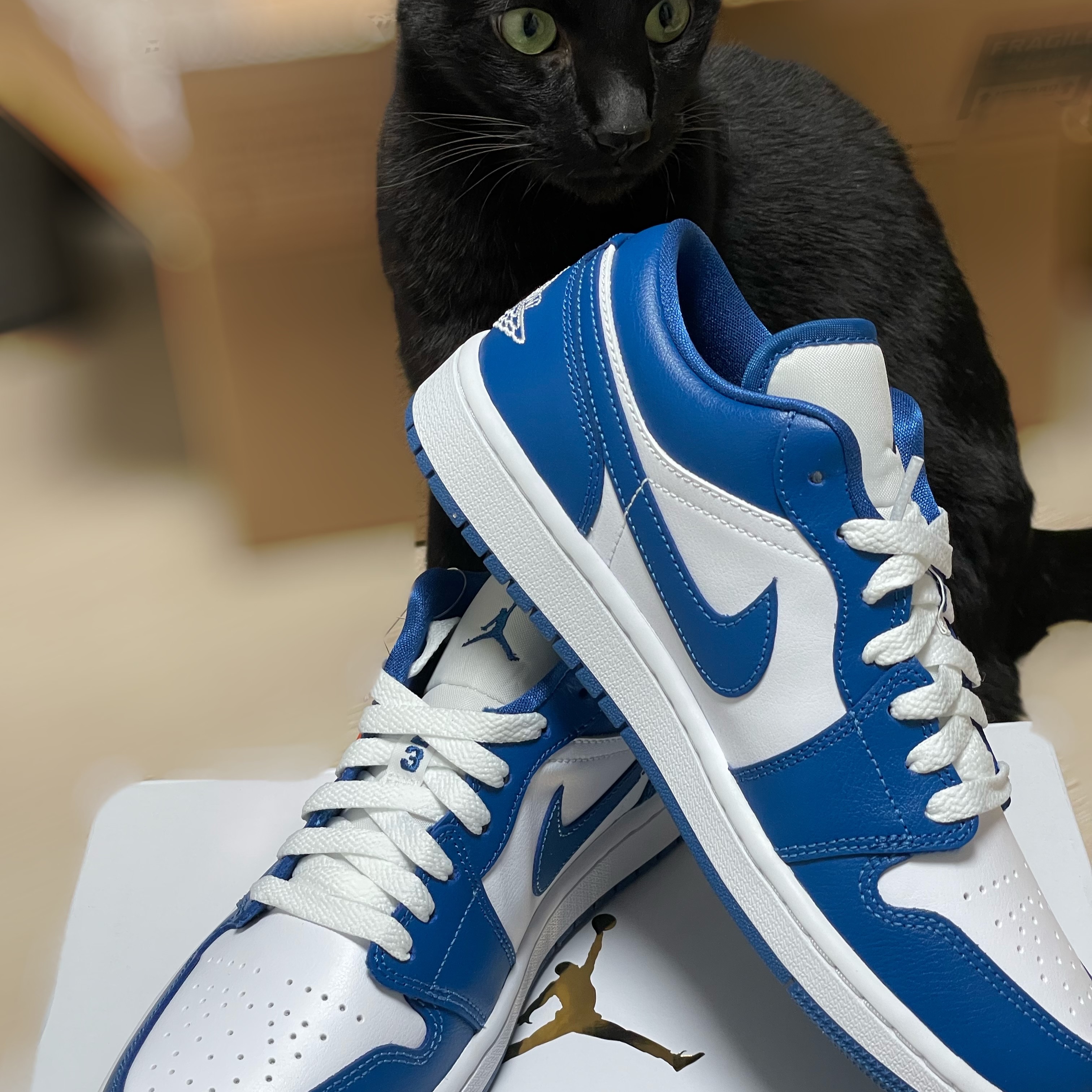 (W) Jordan 1 Low White Dark Marina Blue 착용 스타일 - 2