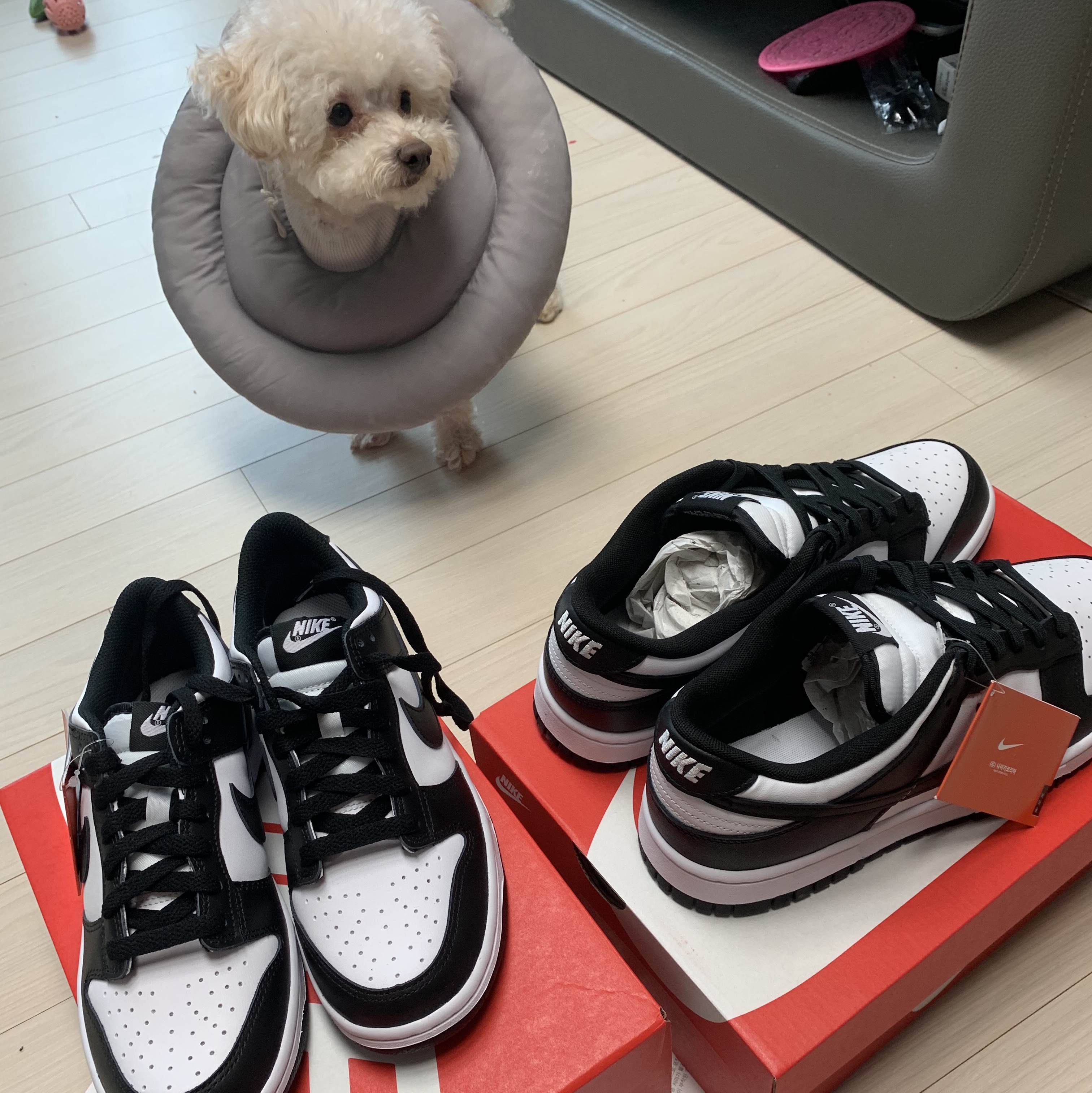 Nike Dunk Low Retro Black, (W) Nike Dunk Low Black 착용 스타일 - 1