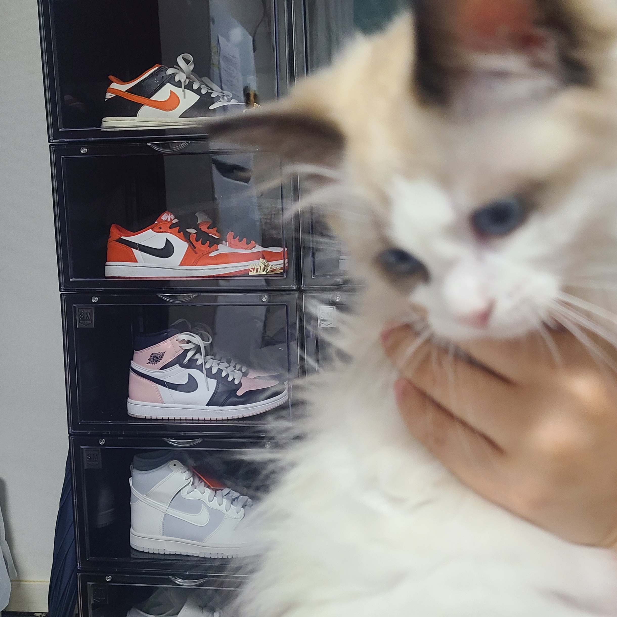 Jordan 1 Low OG Starfish, (GS) Nike Dunk Low PRM Halloween 착용 스타일 - 1