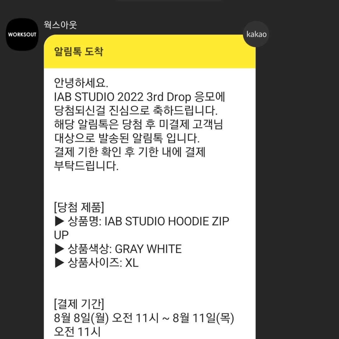 IAB Studio Zip-Up Hoodie Gray - 22FW 착용 스타일