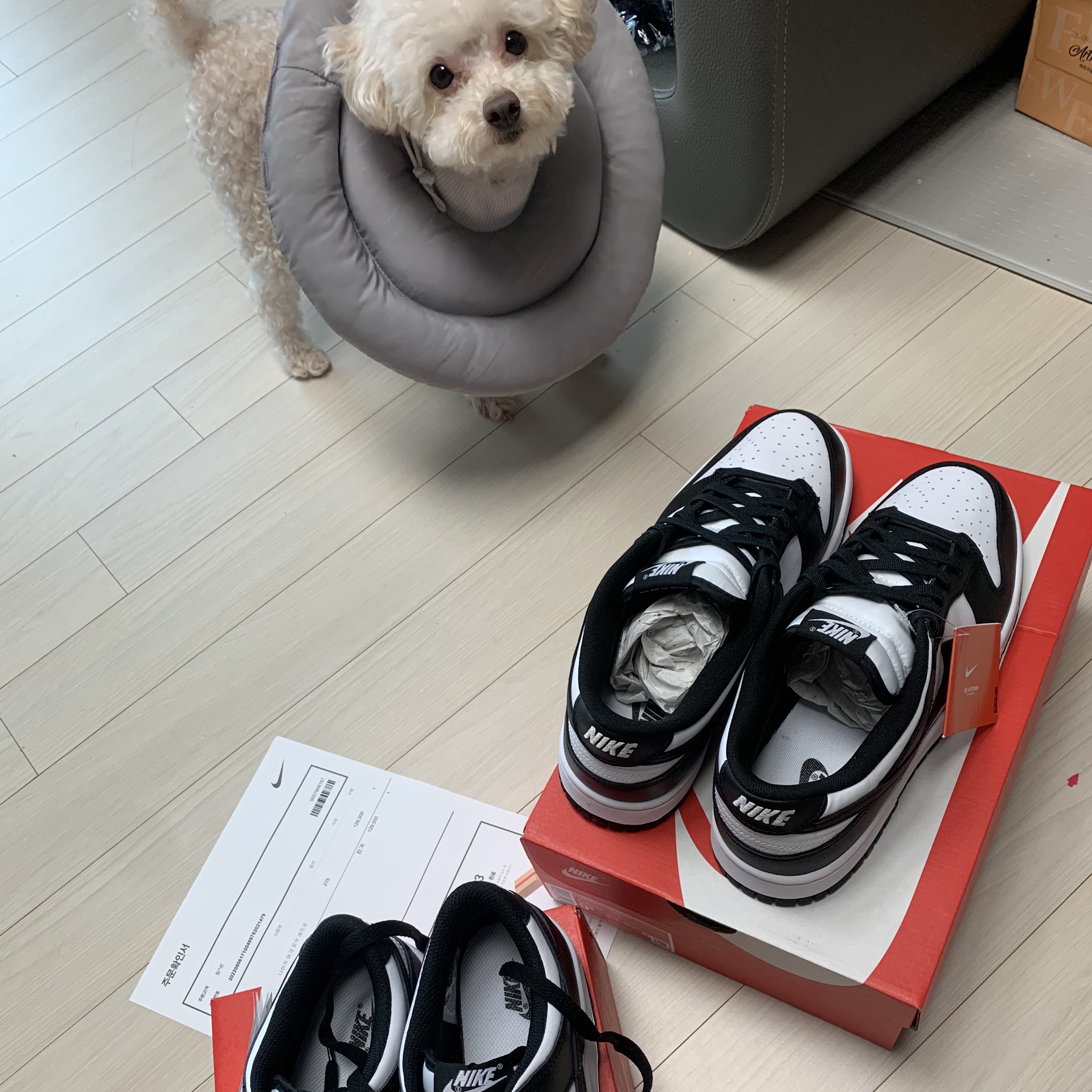Nike Dunk Low Retro Black, (W) Nike Dunk Low Black 착용 스타일 - 2