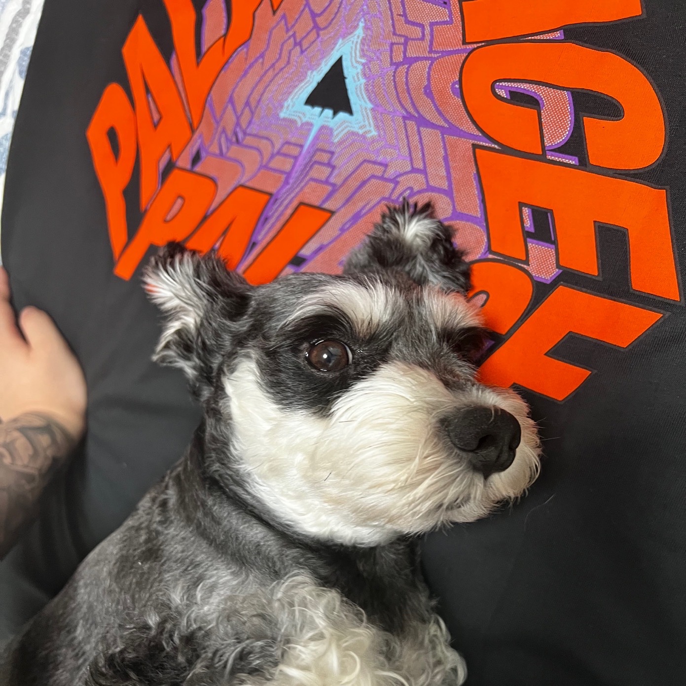 Palace P3 Bare Times T-Shirt Black - 22SS 착용 스타일