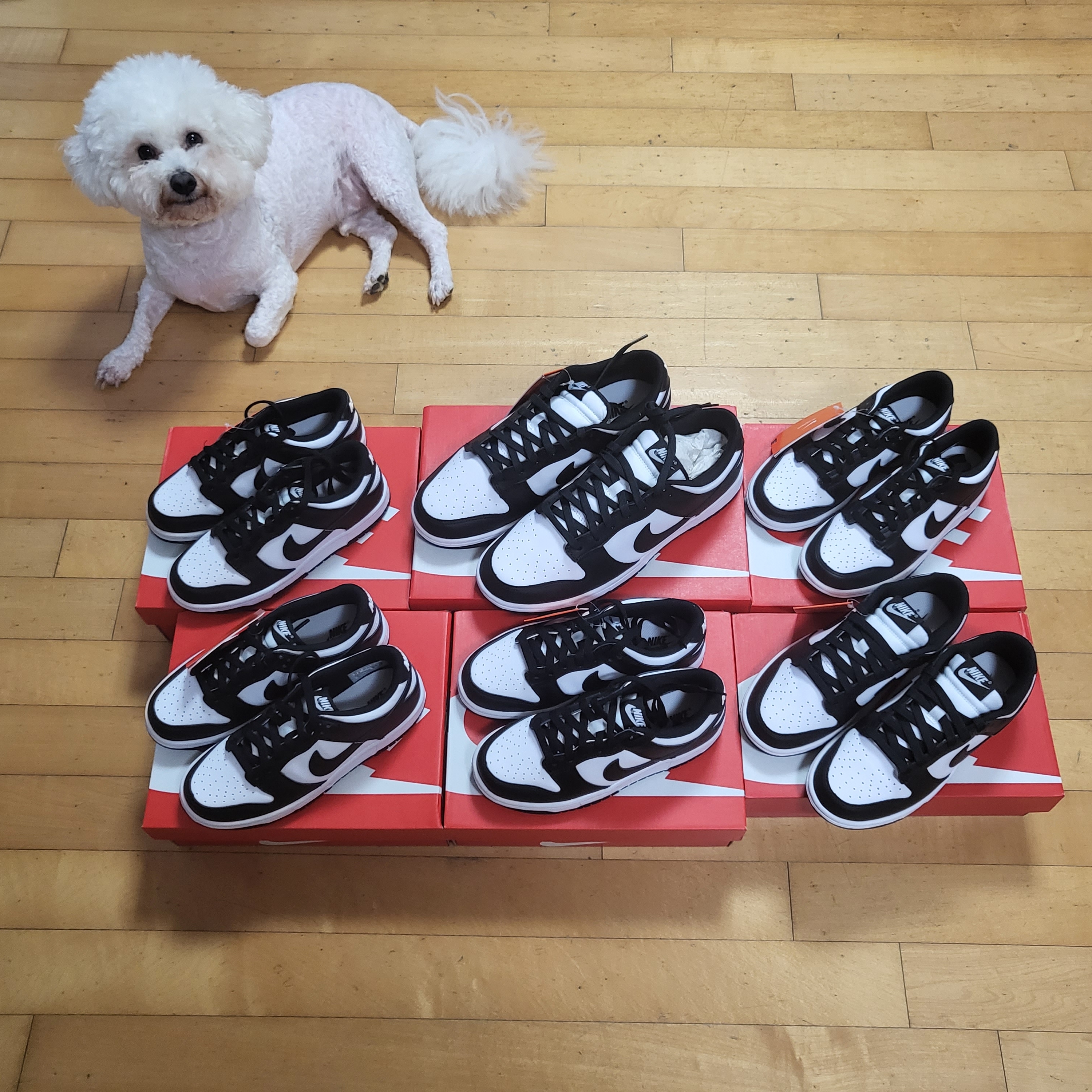 (GS) Nike Dunk Low Black, Nike Dunk Low Retro Black 착용 스타일