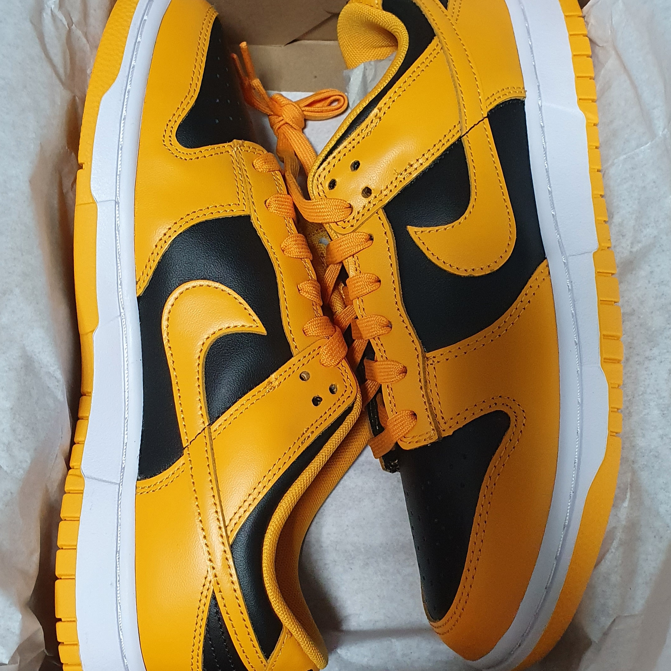 Nike Dunk Low Retro Championship Goldenrod 착용 스타일