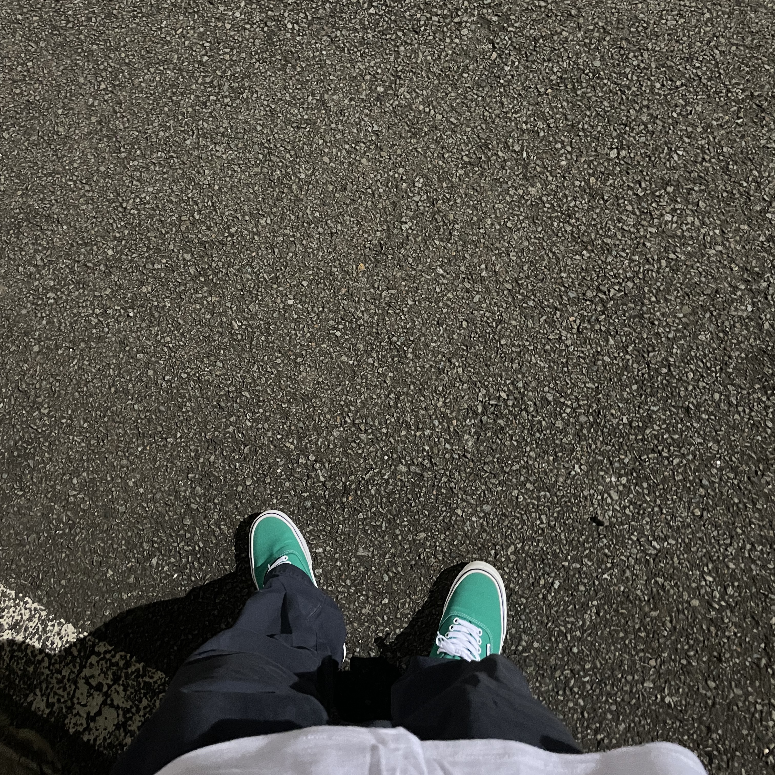 Vans Authentic 44 DX Anaheim Factory Emerald Green 착용 스타일