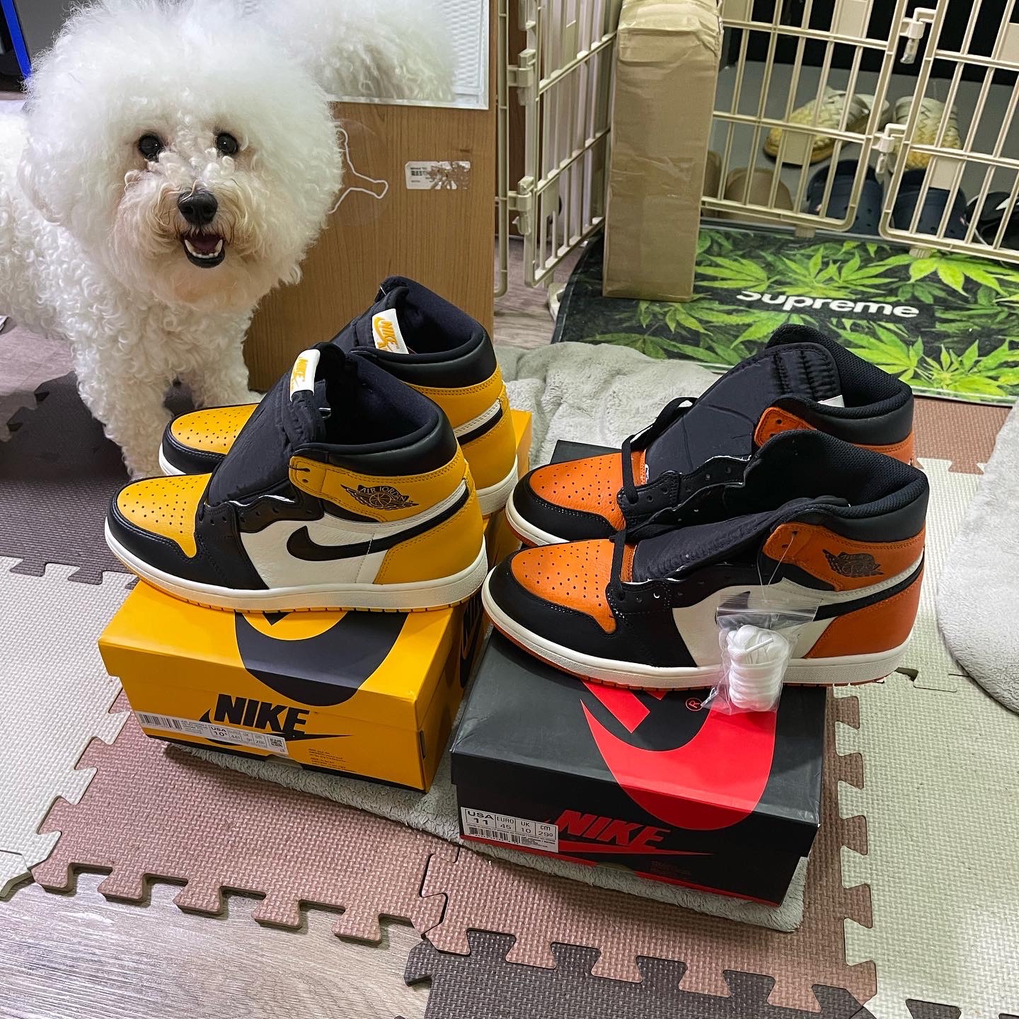Jordan 1 Retro Shattered Backboard, Jordan 1 Retro High OG Taxi 착용 스타일