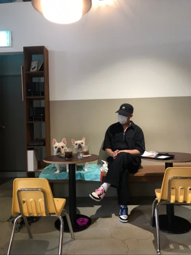 스타일 카드