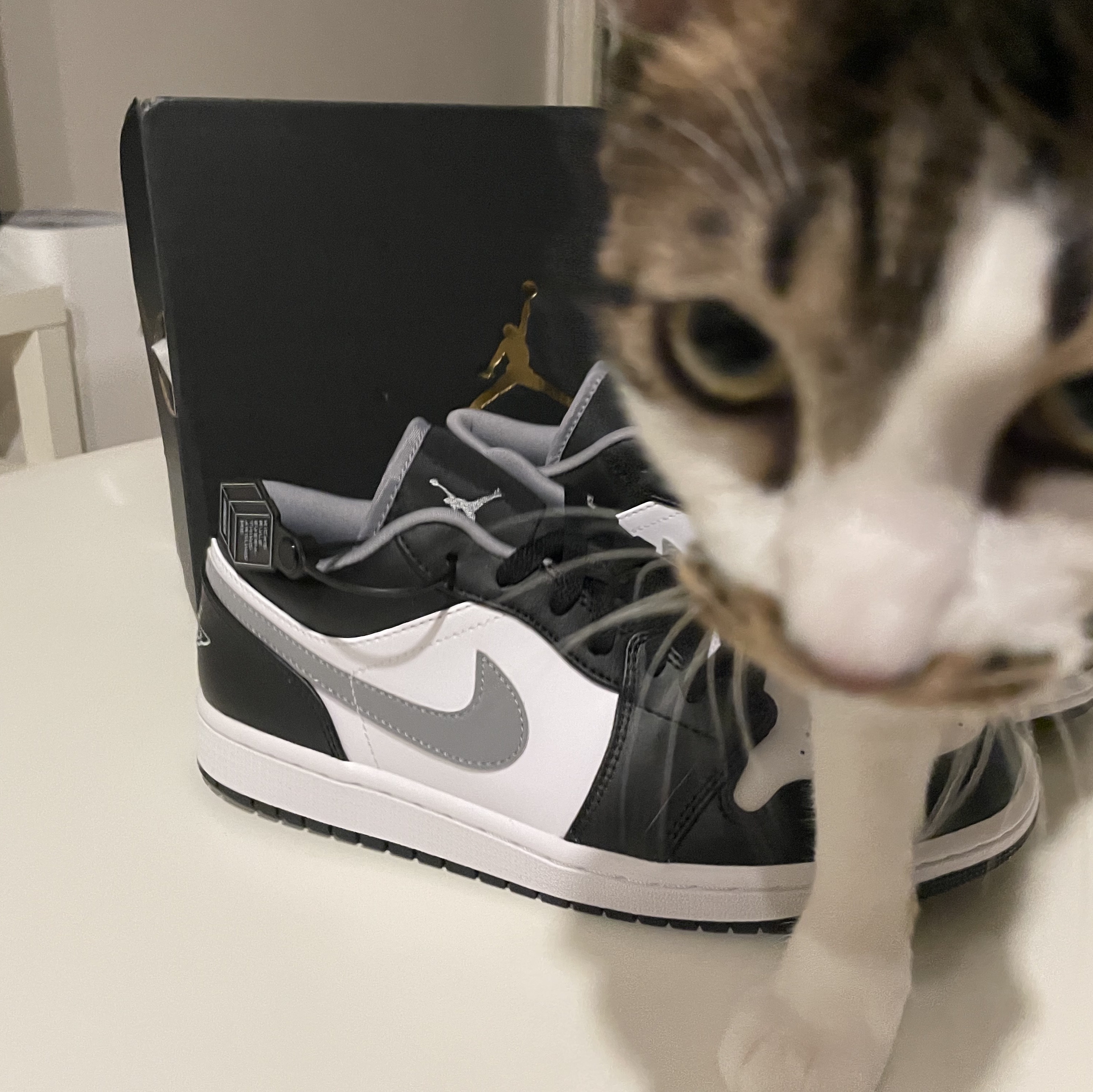 Jordan 1 Low Black Particle Grey 착용 스타일 - 3