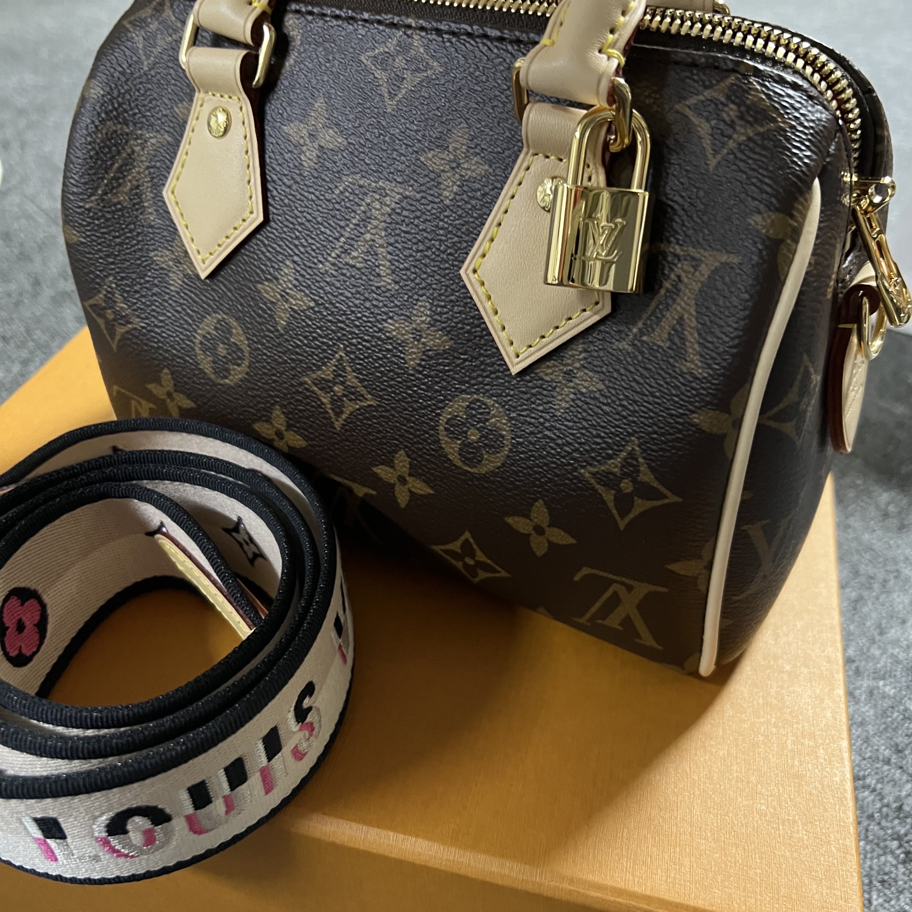 Louis Vuitton Speedy Bandouliere 20 Black 착용 스타일 - 1