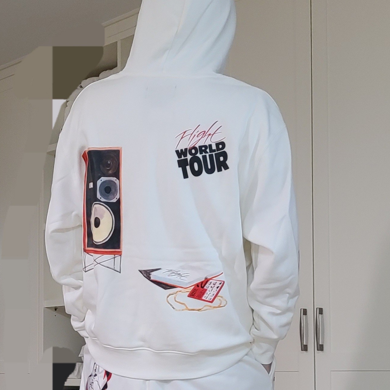 Jordan Flight Artist Series By Jacob Rochester Fleece Pullover Hoodie Sail - Asia 착용 스타일