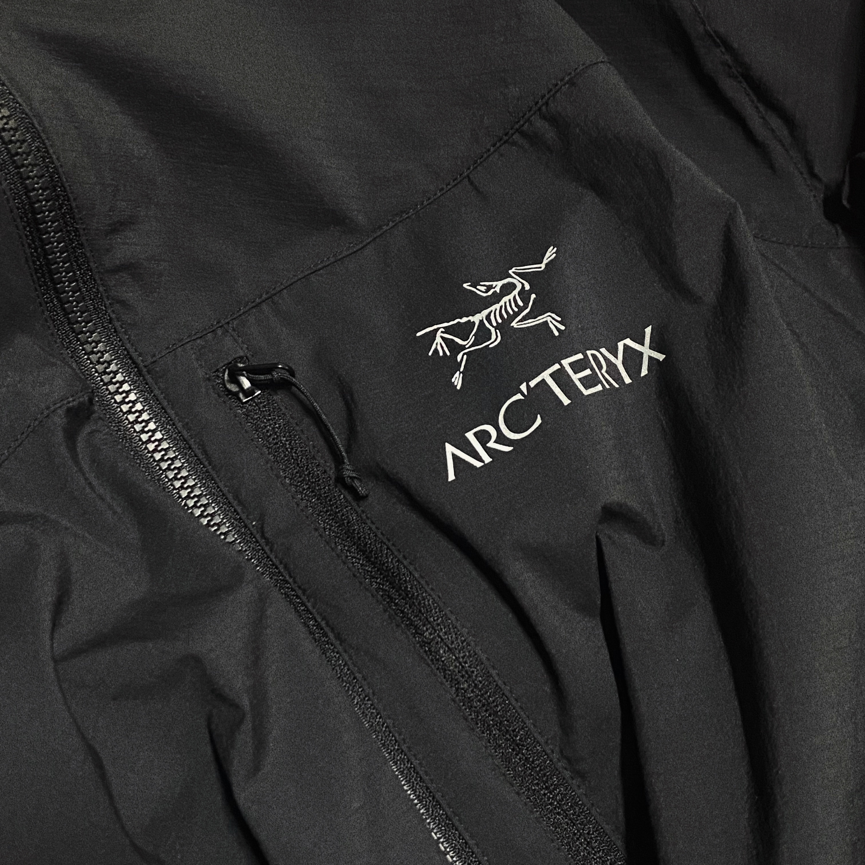 Arc'teryx Squamish Hoody Black 착용 스타일 - 1