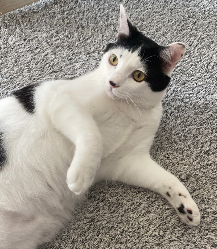 관심 유저 프로필 이미지