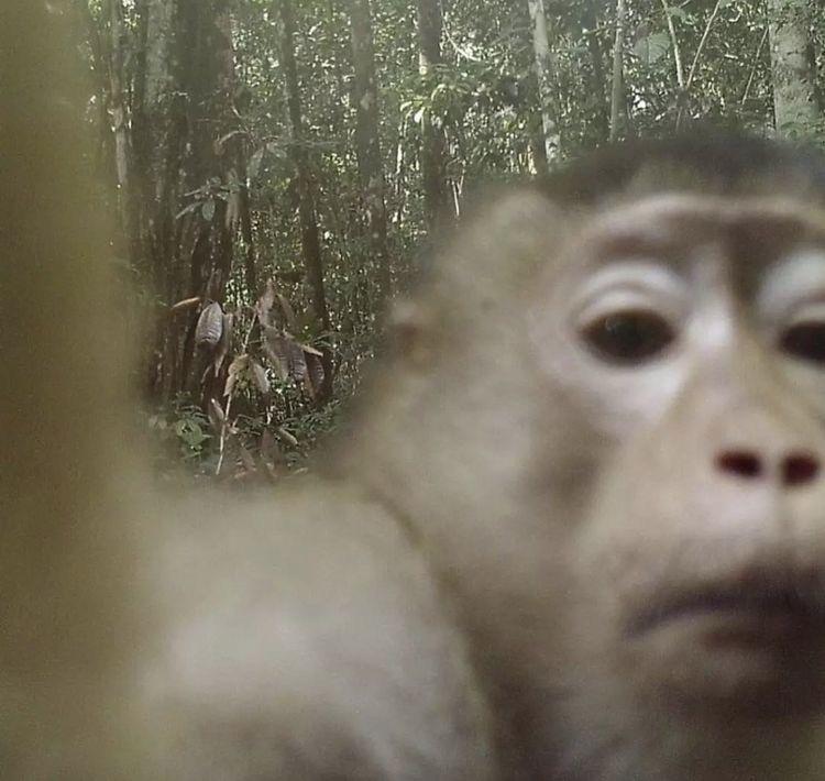관심 유저 프로필 이미지