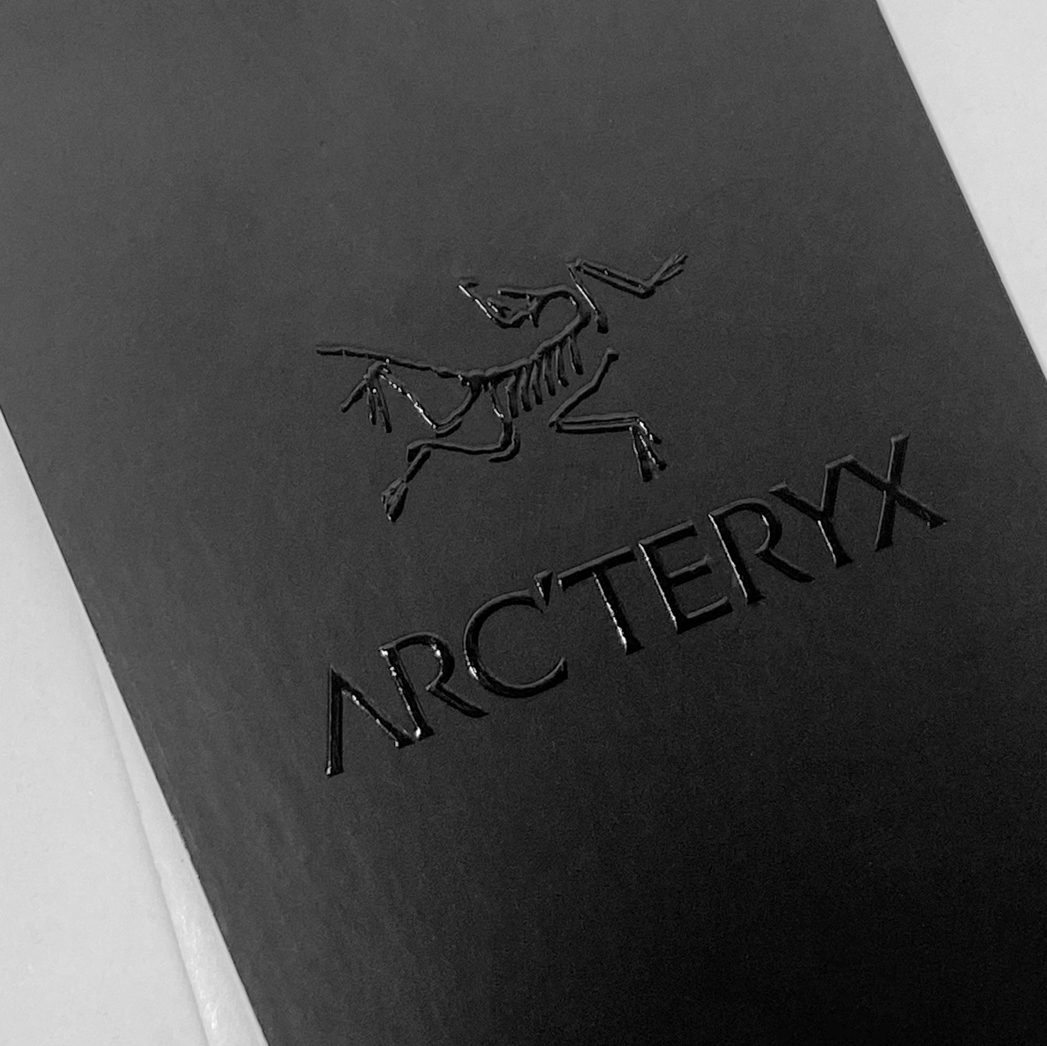 Arc'teryx Squamish Hoody Black 착용 스타일 - 2