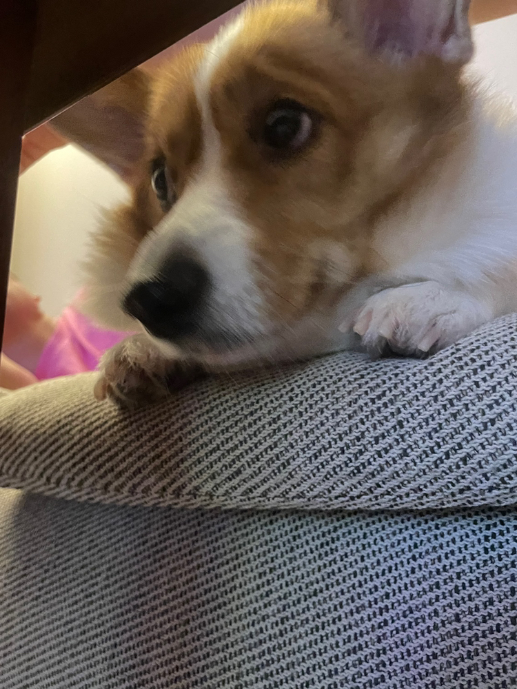 관심 유저 프로필 이미지