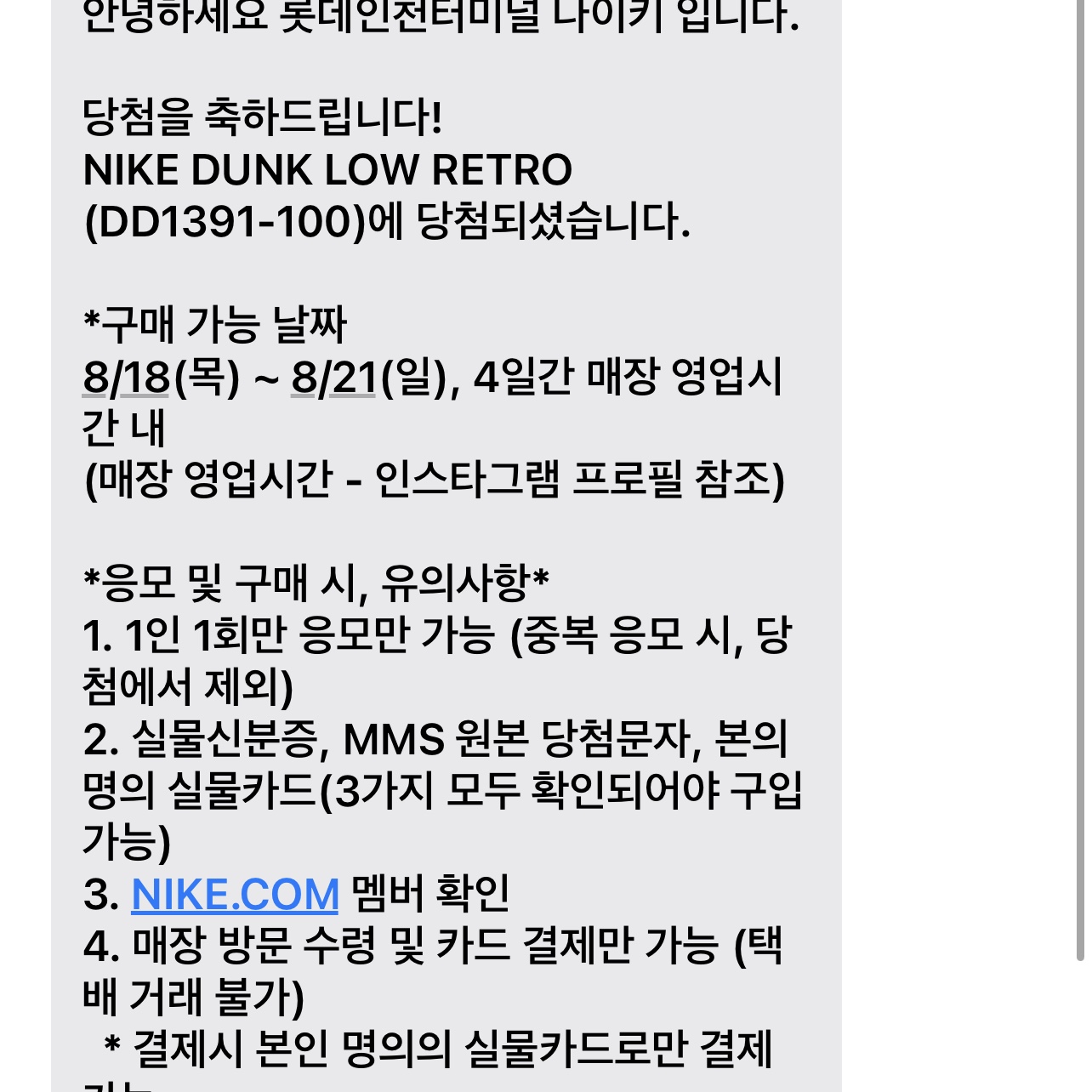 Nike Dunk Low Retro Black 착용 스타일