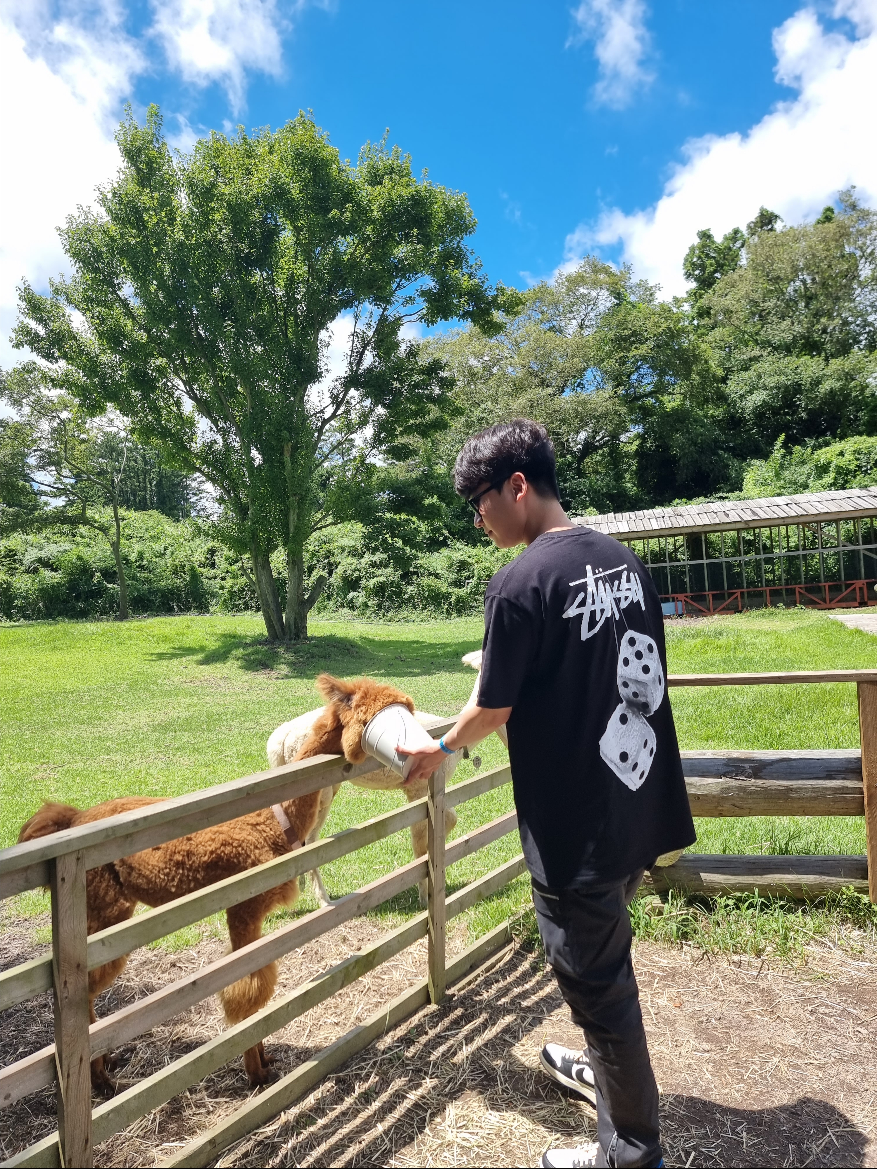 Stussy Fuzzy Dice T-Shirt Black, Jordan 1 x Travis Scott x Fragment Retro Low OG SP Military Blue 착용 스타일