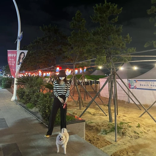 스타일 카드
